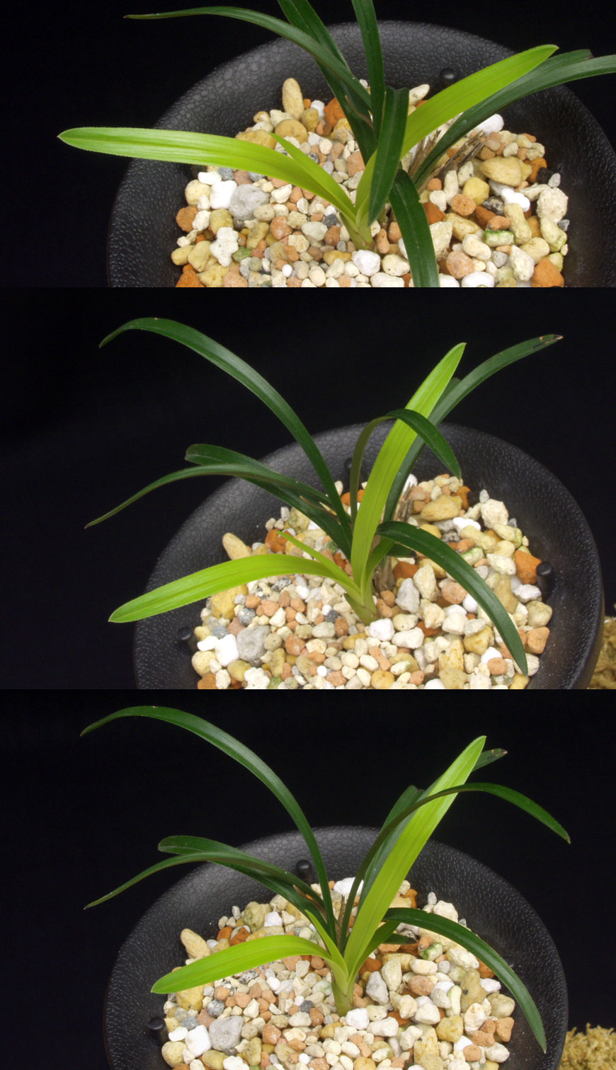 ������ ū������ �� �� �ֽ��ϴ�.