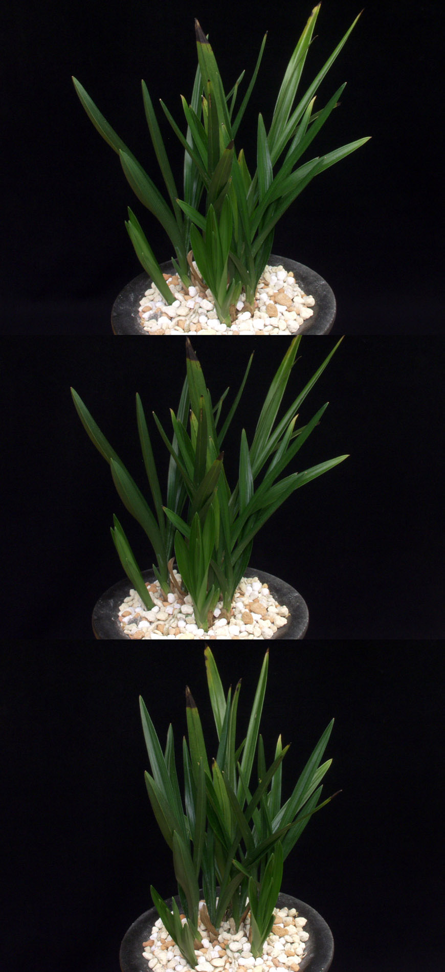 ������ ū������ �� �� �ֽ��ϴ�.