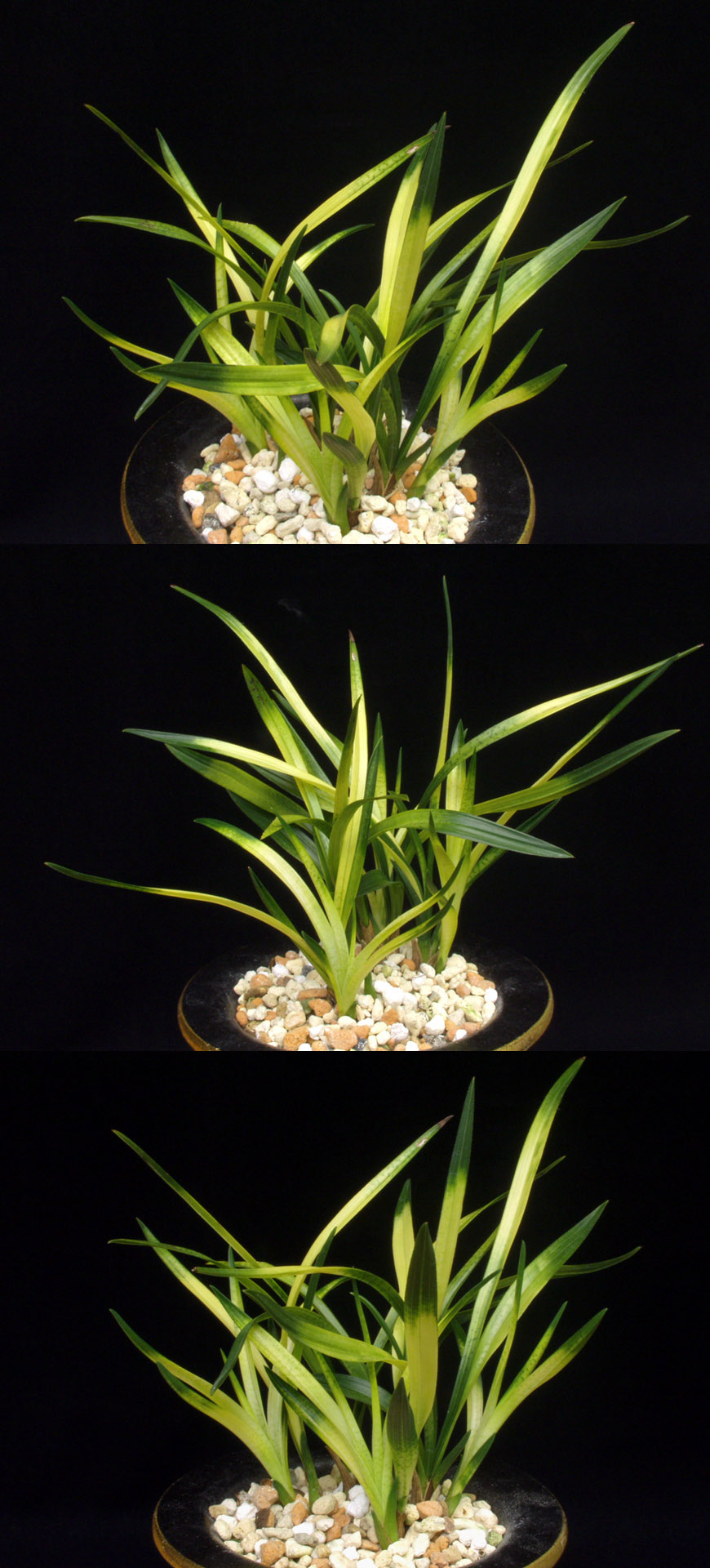 ������ ū������ �� �� �ֽ��ϴ�.