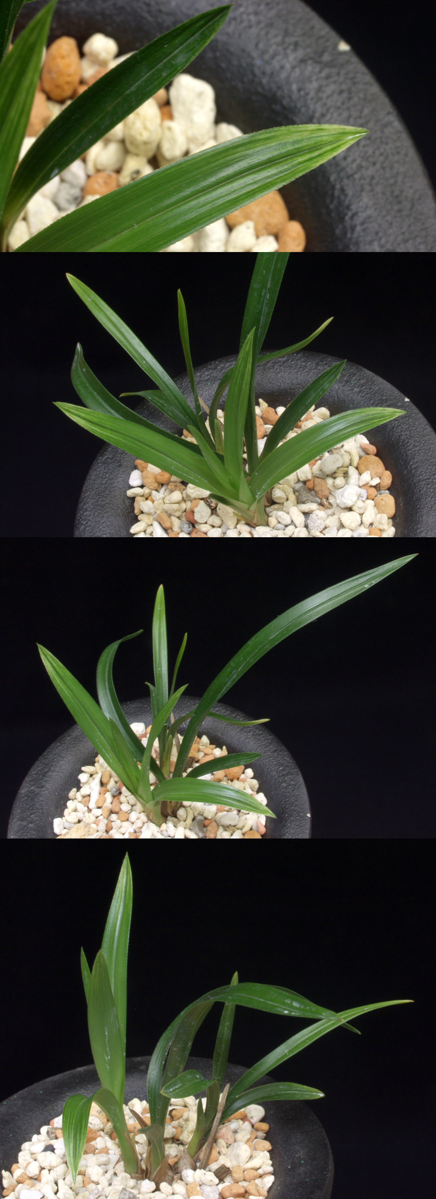 ������ ū������ �� �� �ֽ��ϴ�.