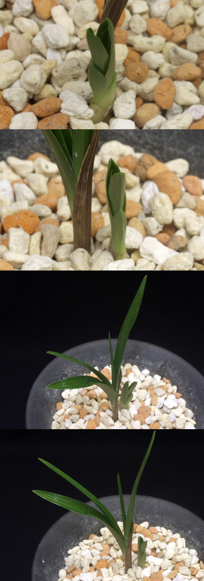 ������ ū������ �� �� �ֽ��ϴ�.