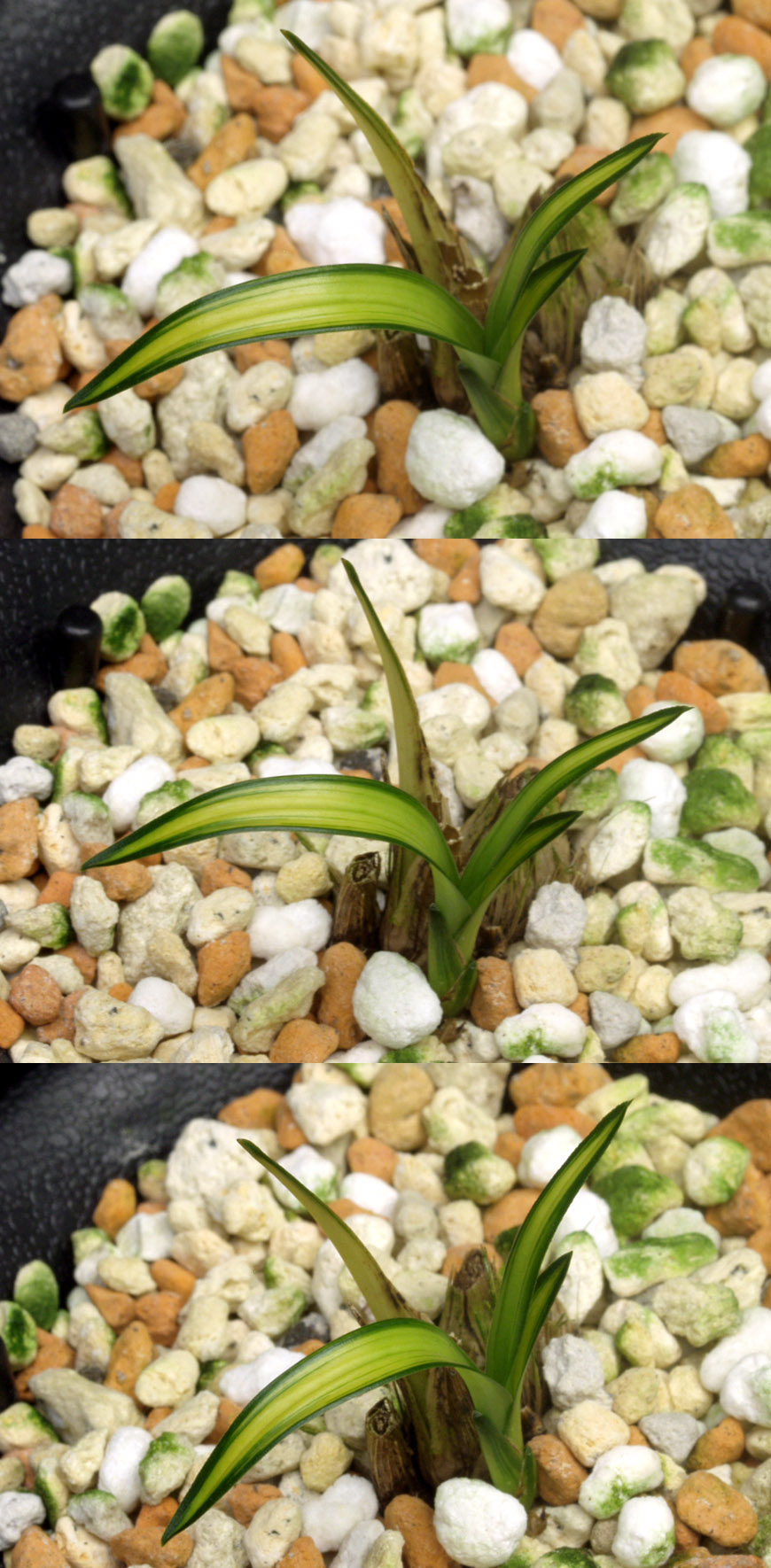 ������ ū������ �� �� �ֽ��ϴ�.