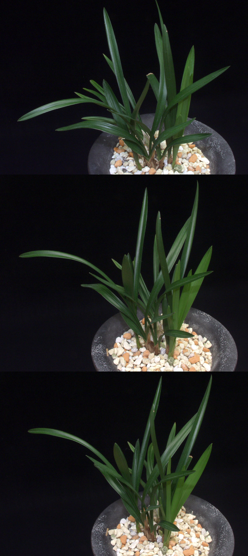 ������ ū������ �� �� �ֽ��ϴ�.