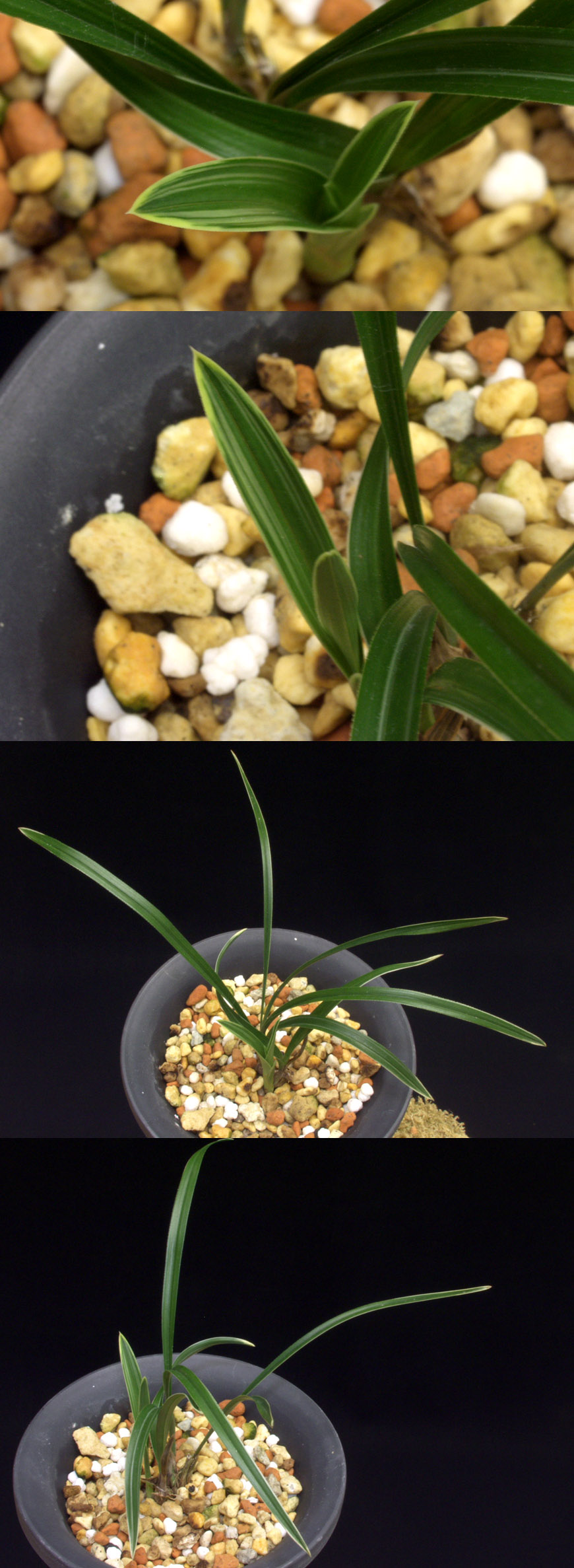 ������ ū������ �� �� �ֽ��ϴ�.