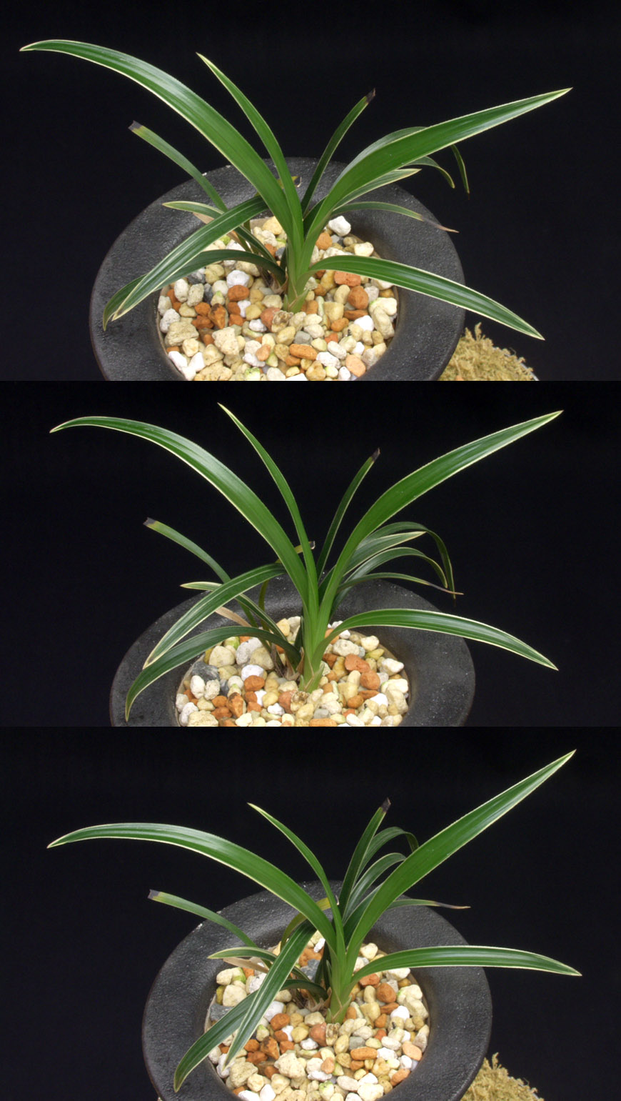 ������ ū������ �� �� �ֽ��ϴ�.