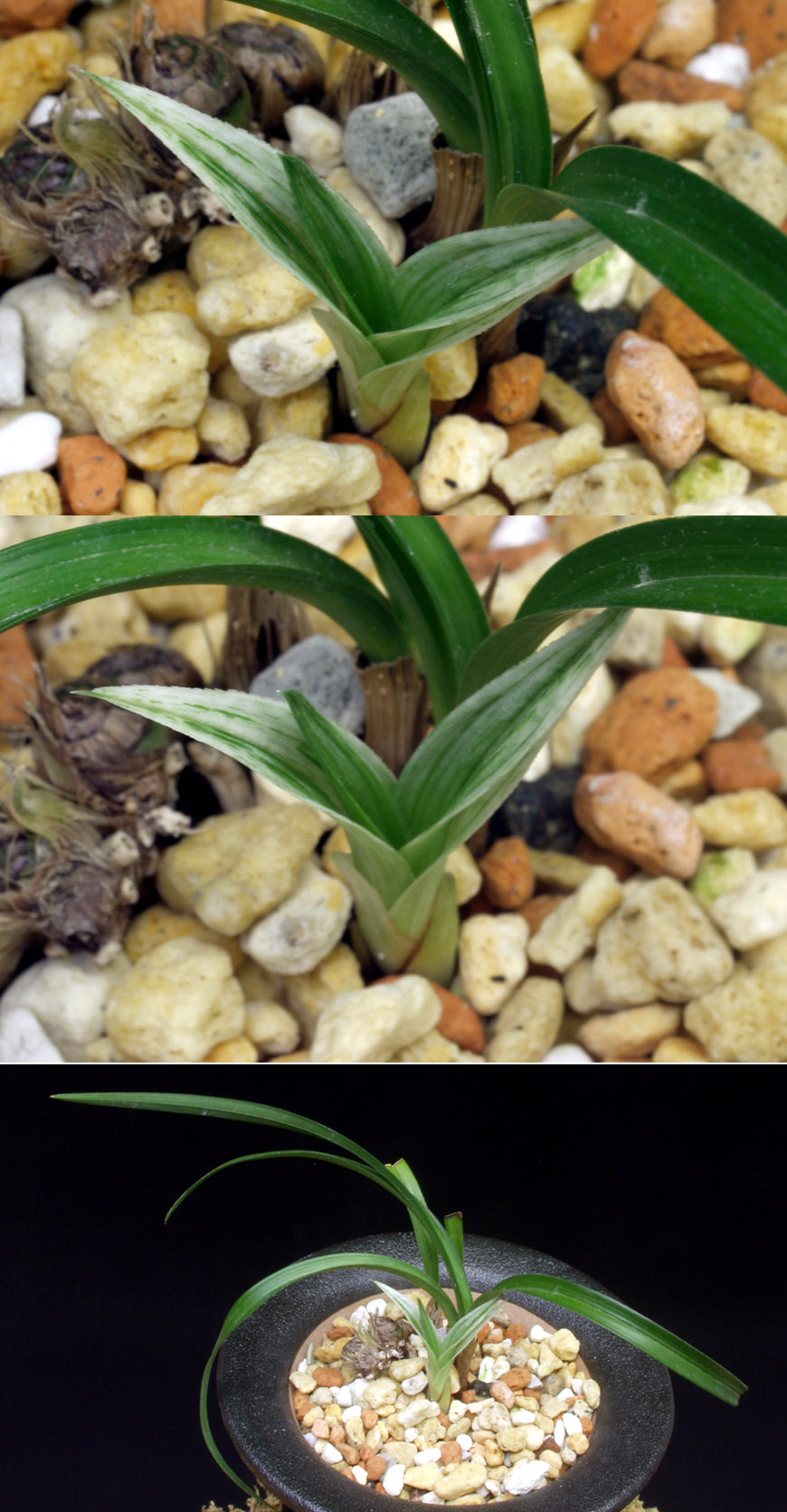 ������ ū������ �� �� �ֽ��ϴ�.