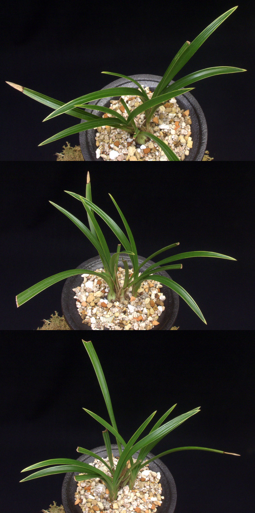 ������ ū������ �� �� �ֽ��ϴ�.