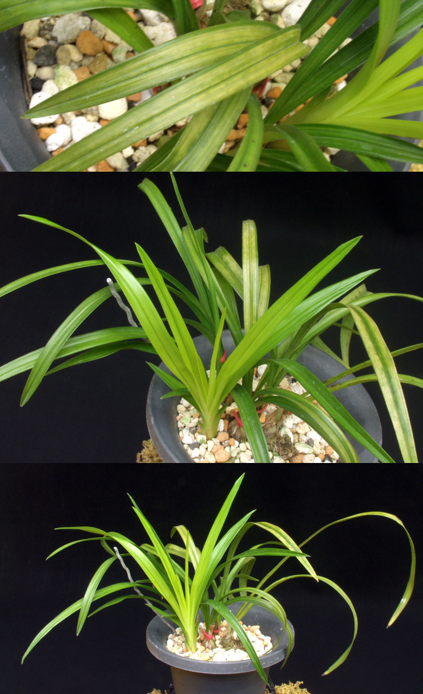 ������ ū������ �� �� �ֽ��ϴ�.