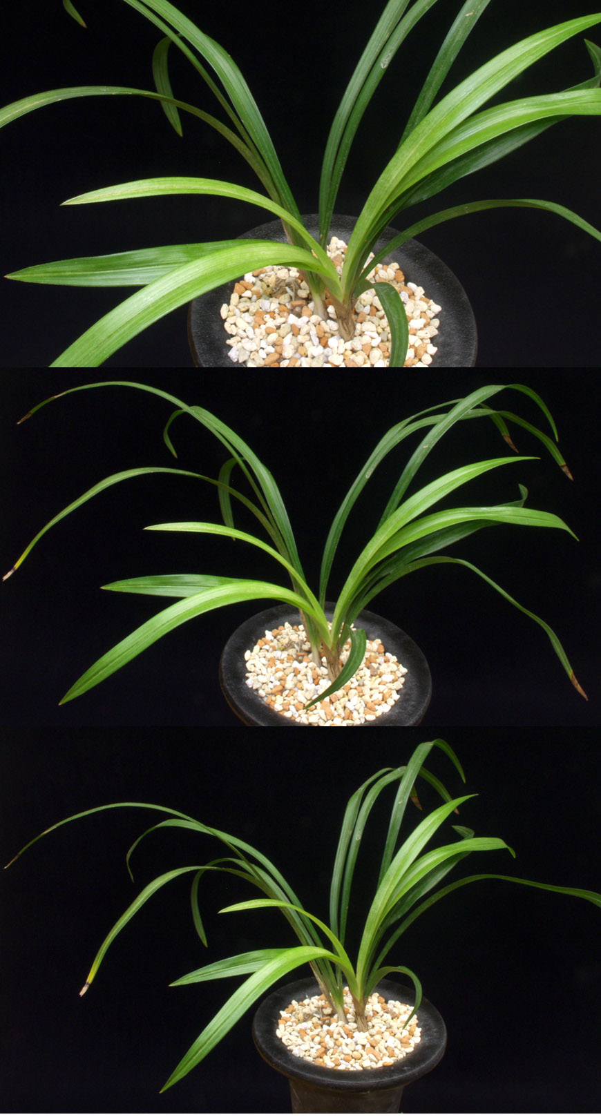 ������ ū������ �� �� �ֽ��ϴ�.