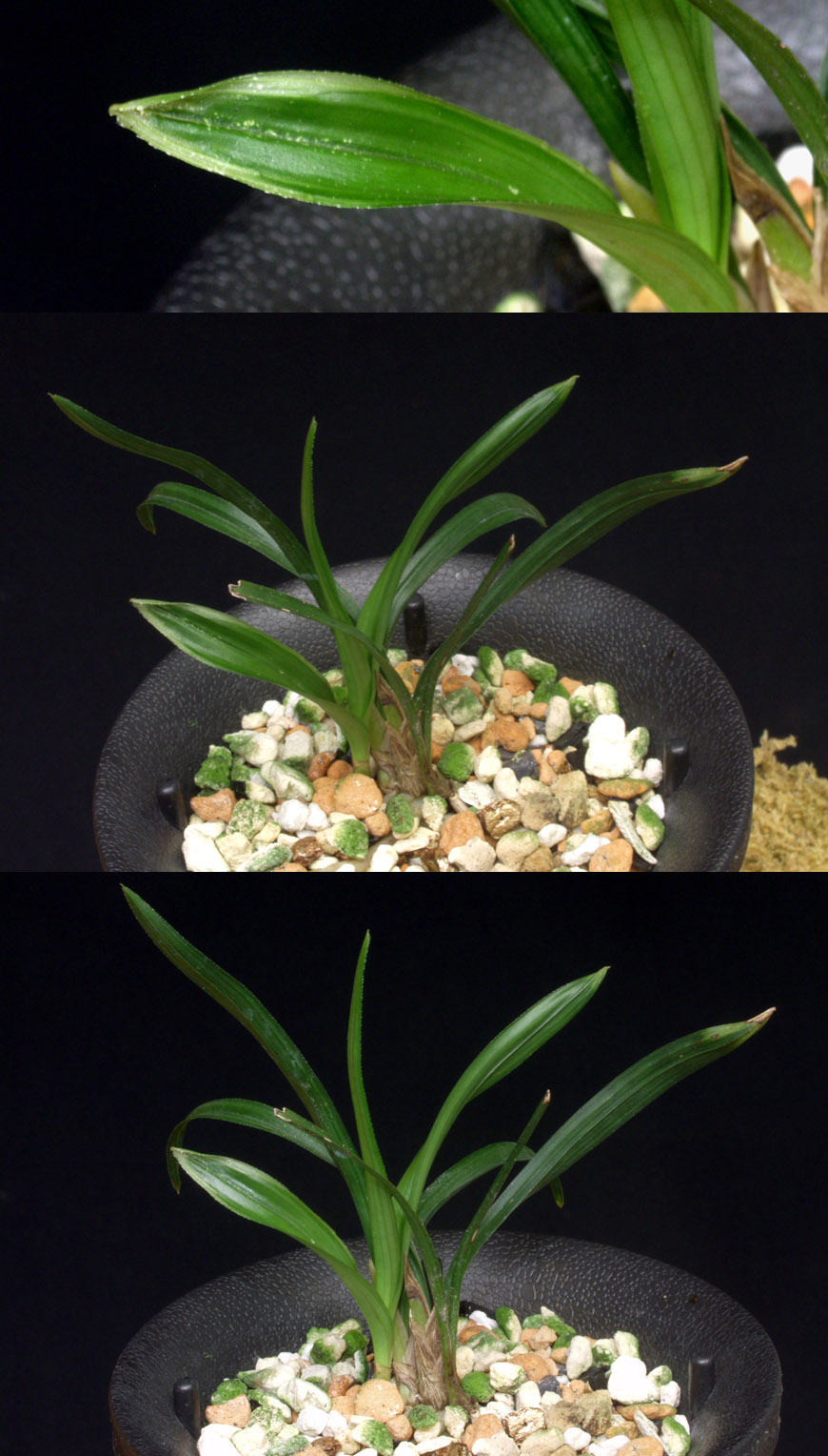 ������ ū������ �� �� �ֽ��ϴ�.