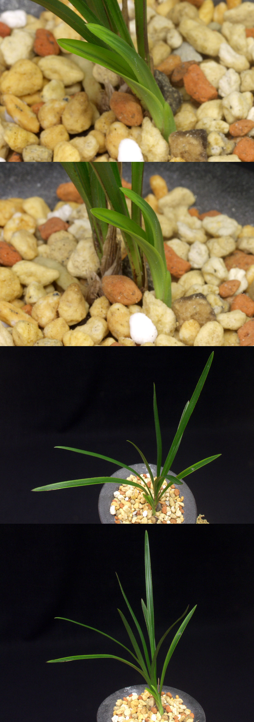 ������ ū������ �� �� �ֽ��ϴ�.