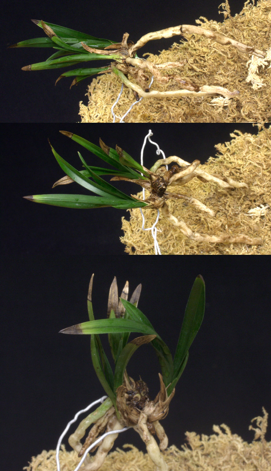 ������ ū������ �� �� �ֽ��ϴ�.