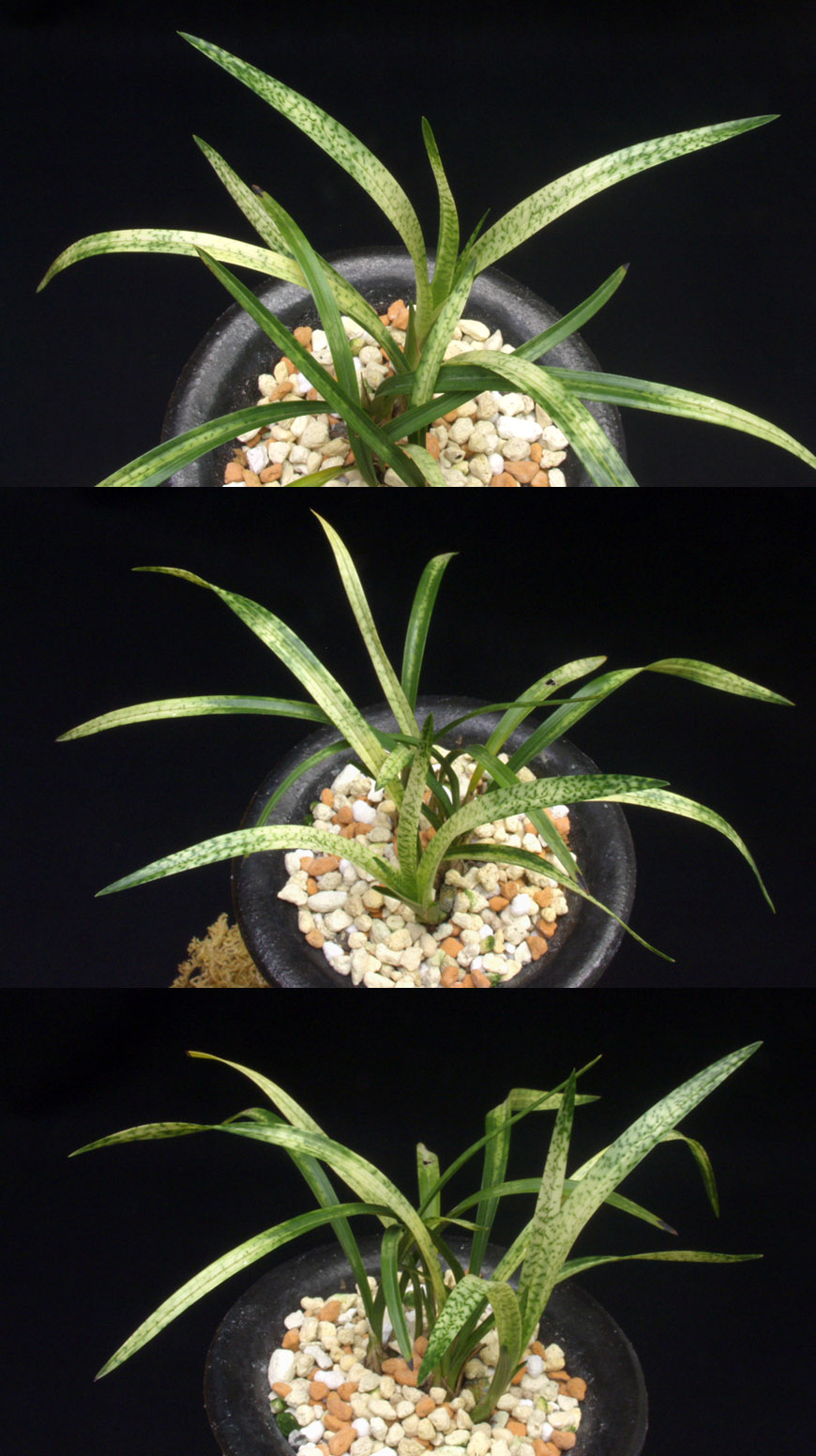 ������ ū������ �� �� �ֽ��ϴ�.