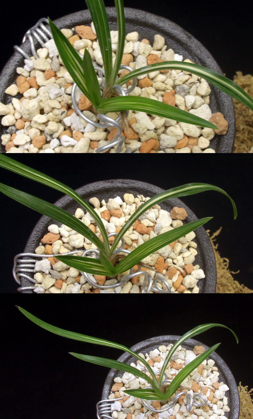 ������ ū������ �� �� �ֽ��ϴ�.