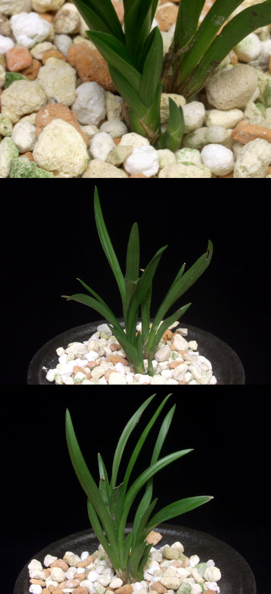 ������ ū������ �� �� �ֽ��ϴ�.