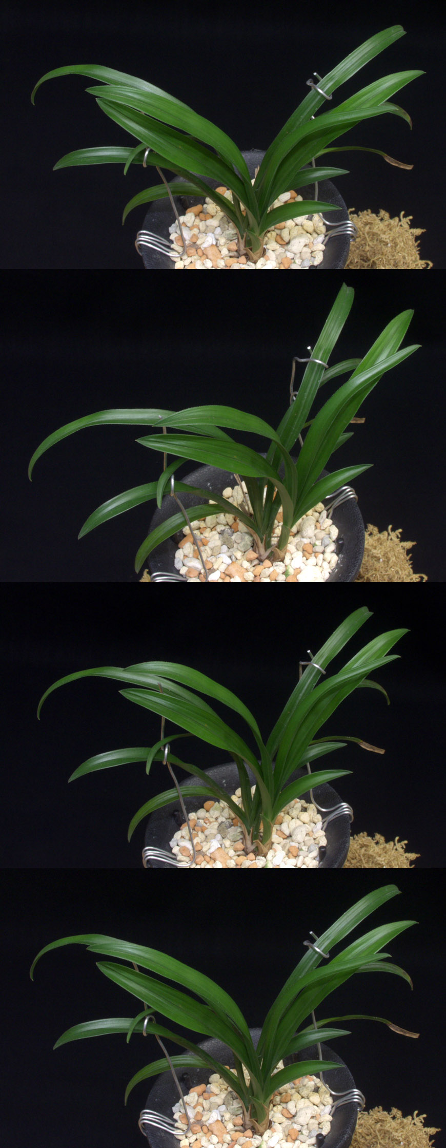 ������ ū������ �� �� �ֽ��ϴ�.