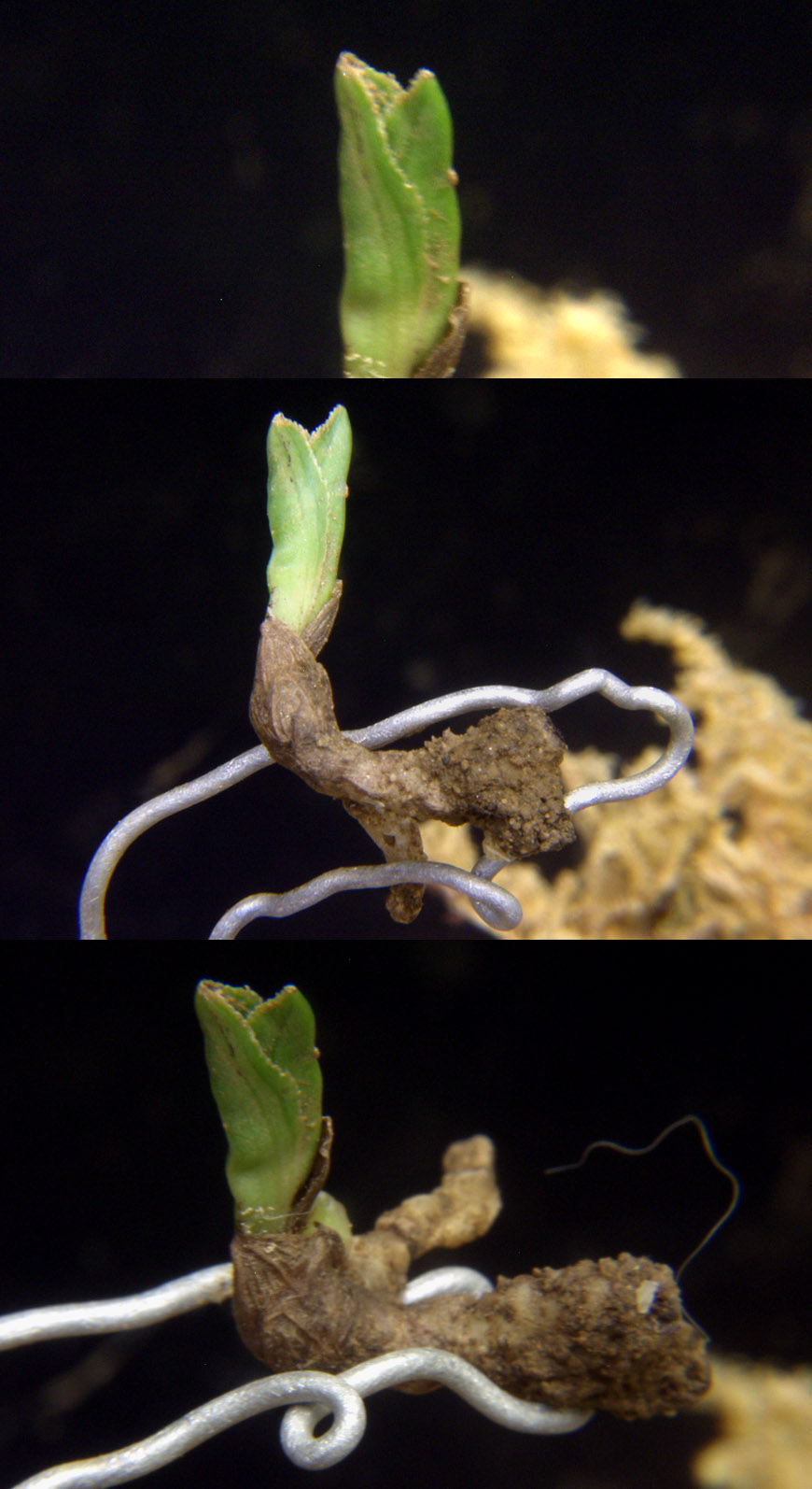 ������ ū������ �� �� �ֽ��ϴ�.