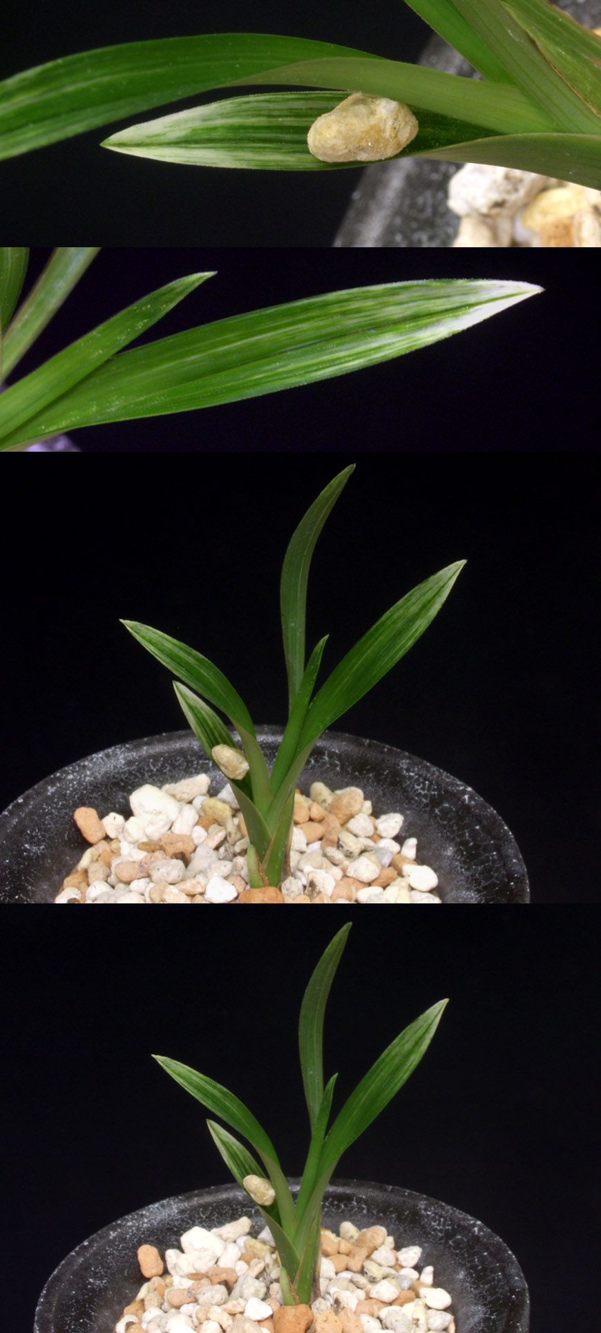 ������ ū������ �� �� �ֽ��ϴ�.