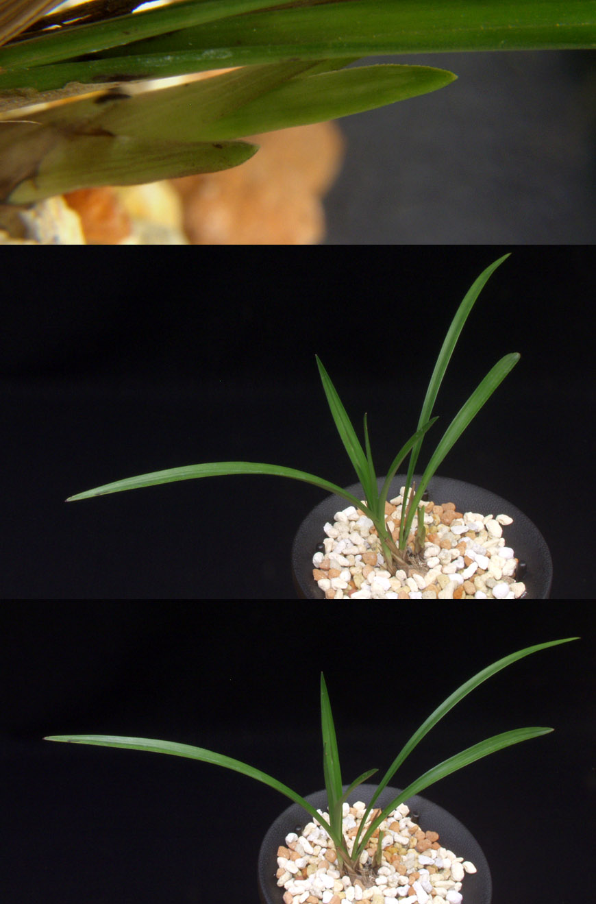 ������ ū������ �� �� �ֽ��ϴ�.