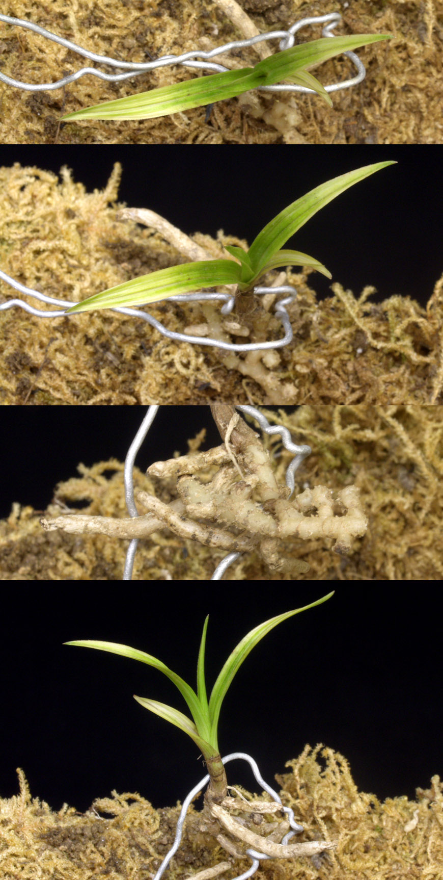 ������ ū������ �� �� �ֽ��ϴ�.