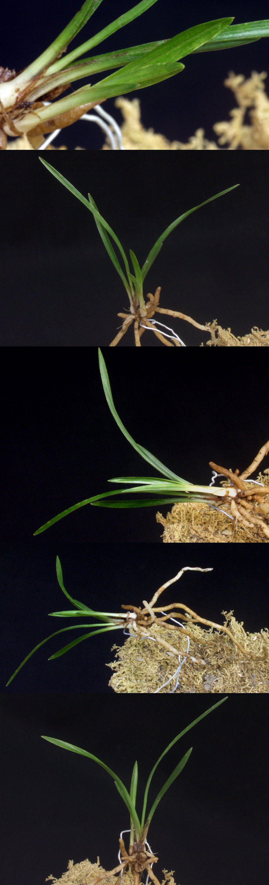 ������ ū������ �� �� �ֽ��ϴ�.