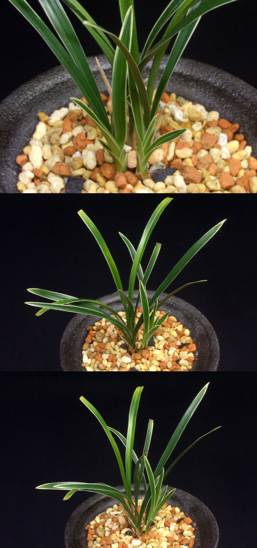 ������ ū������ �� �� �ֽ��ϴ�.