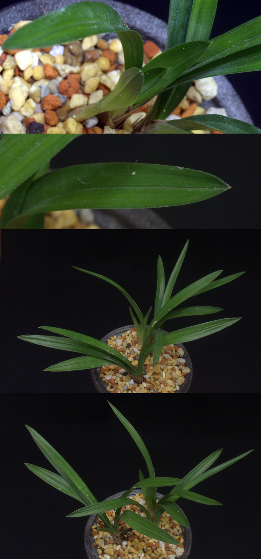 ������ ū������ �� �� �ֽ��ϴ�.