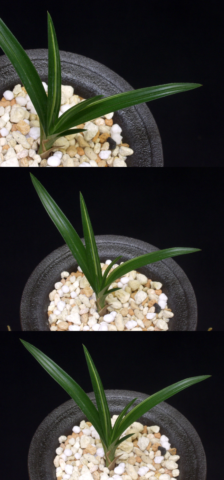 ������ ū������ �� �� �ֽ��ϴ�.