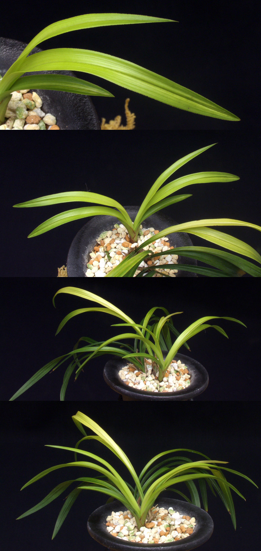 ������ ū������ �� �� �ֽ��ϴ�.