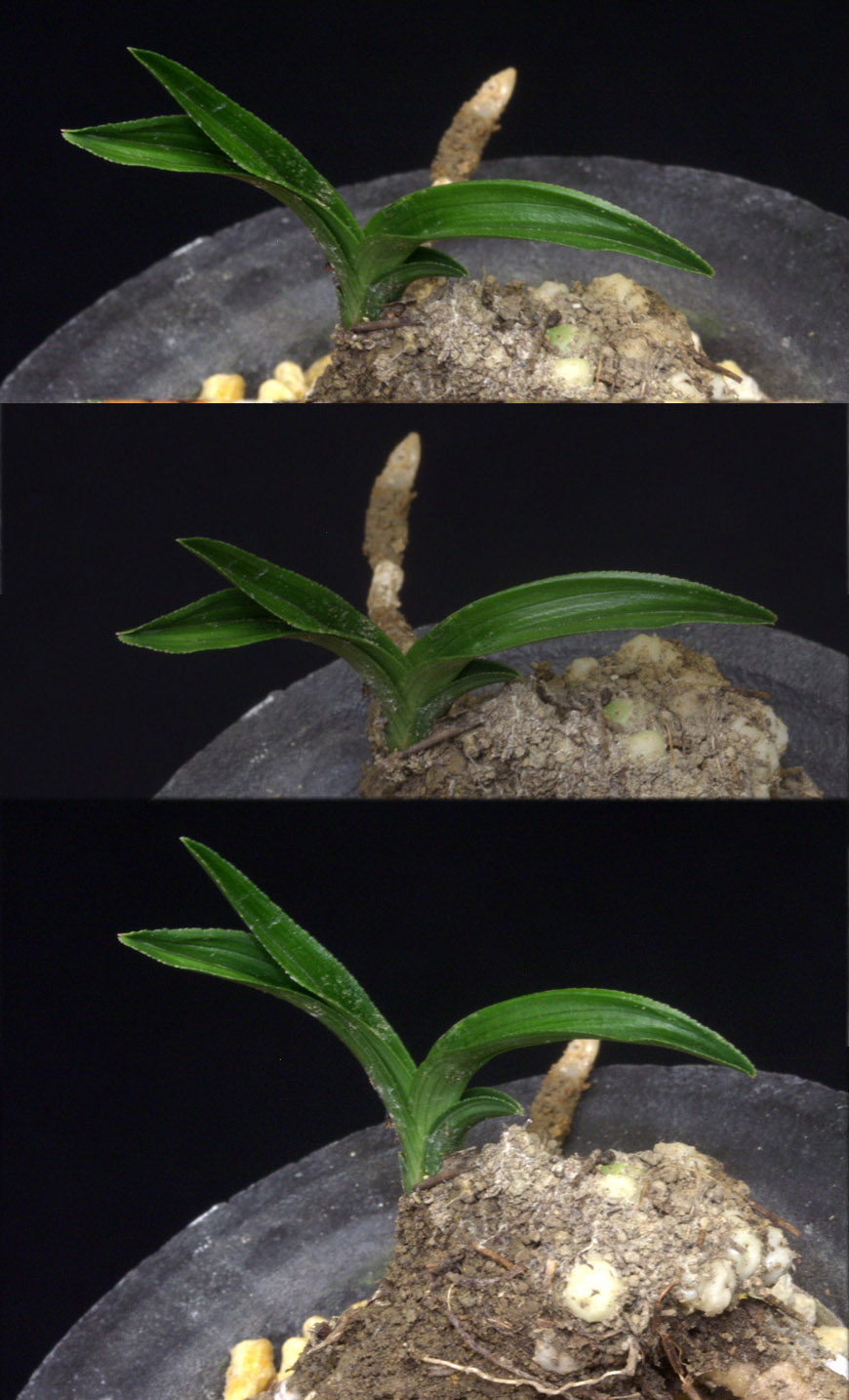 ������ ū������ �� �� �ֽ��ϴ�.