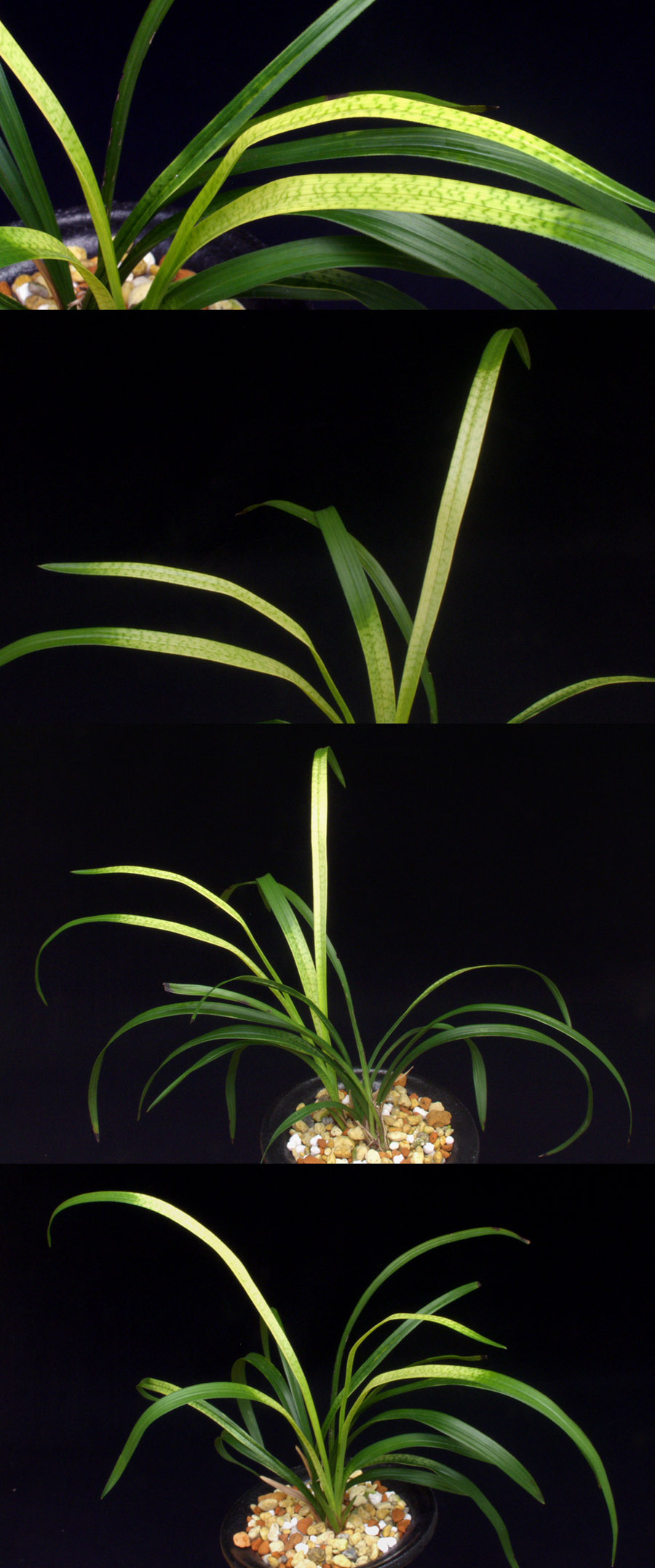 ������ ū������ �� �� �ֽ��ϴ�.