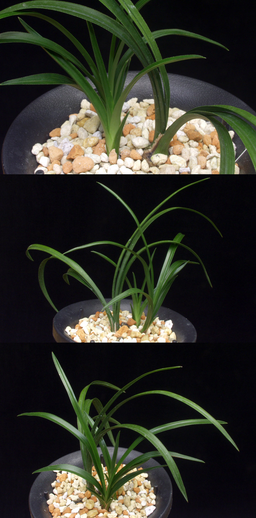 ������ ū������ �� �� �ֽ��ϴ�.