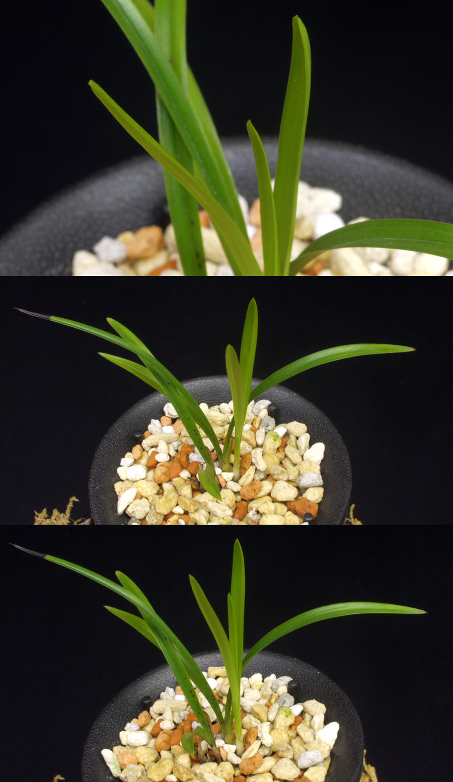 ������ ū������ �� �� �ֽ��ϴ�.