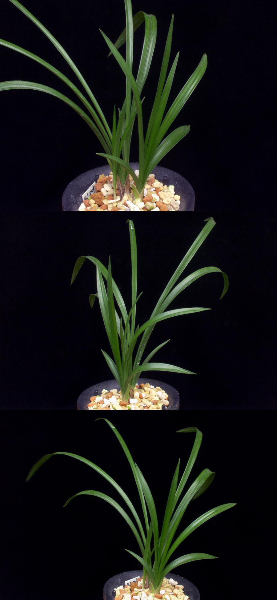 ������ ū������ �� �� �ֽ��ϴ�.