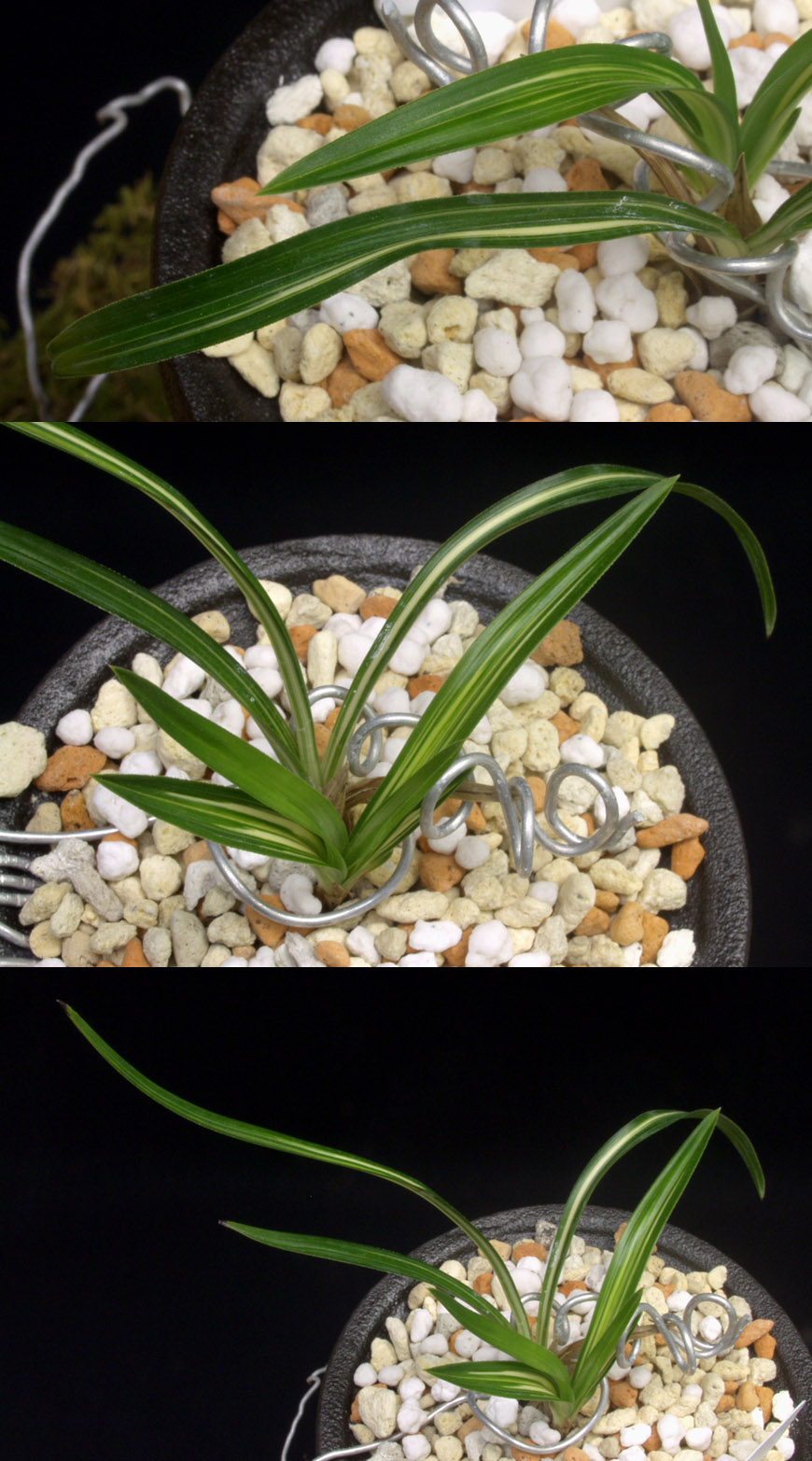 ������ ū������ �� �� �ֽ��ϴ�.