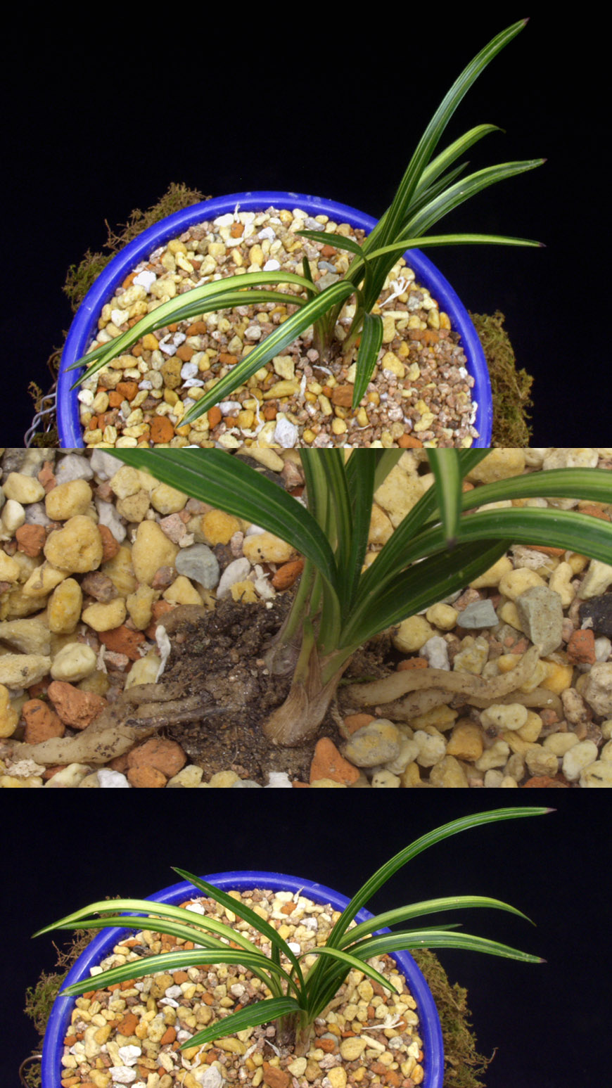 ������ ū������ �� �� �ֽ��ϴ�.