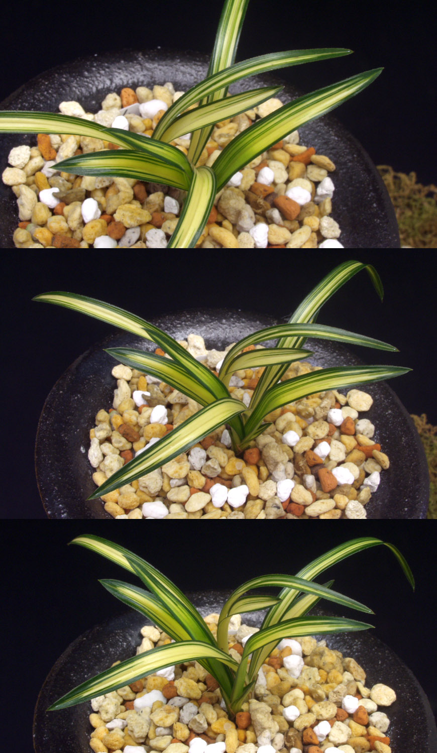 ������ ū������ �� �� �ֽ��ϴ�.