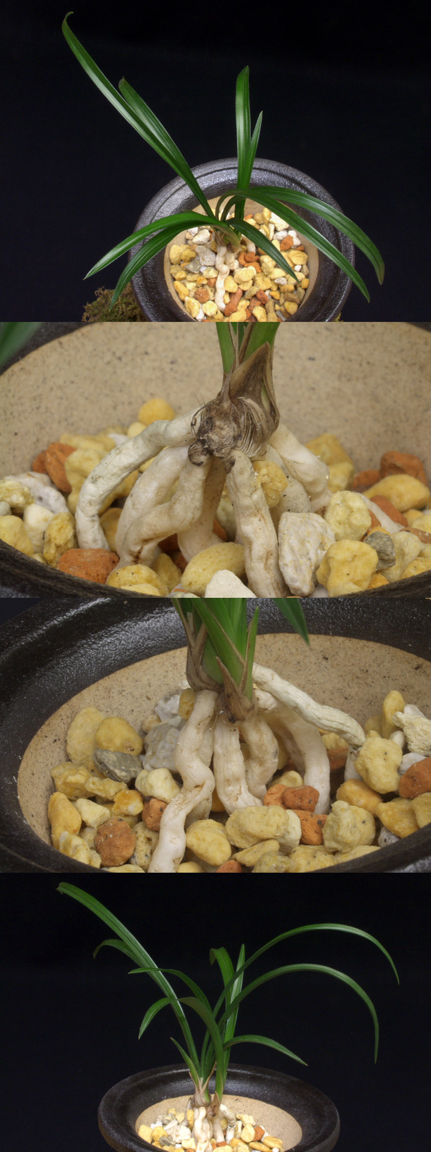 ������ ū������ �� �� �ֽ��ϴ�.