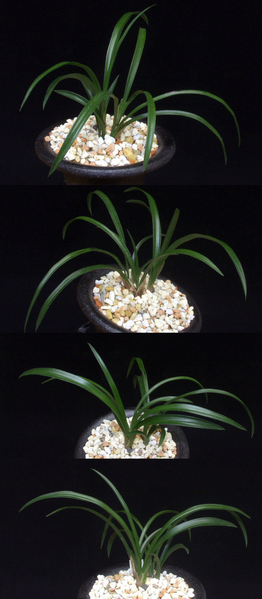 ������ ū������ �� �� �ֽ��ϴ�.