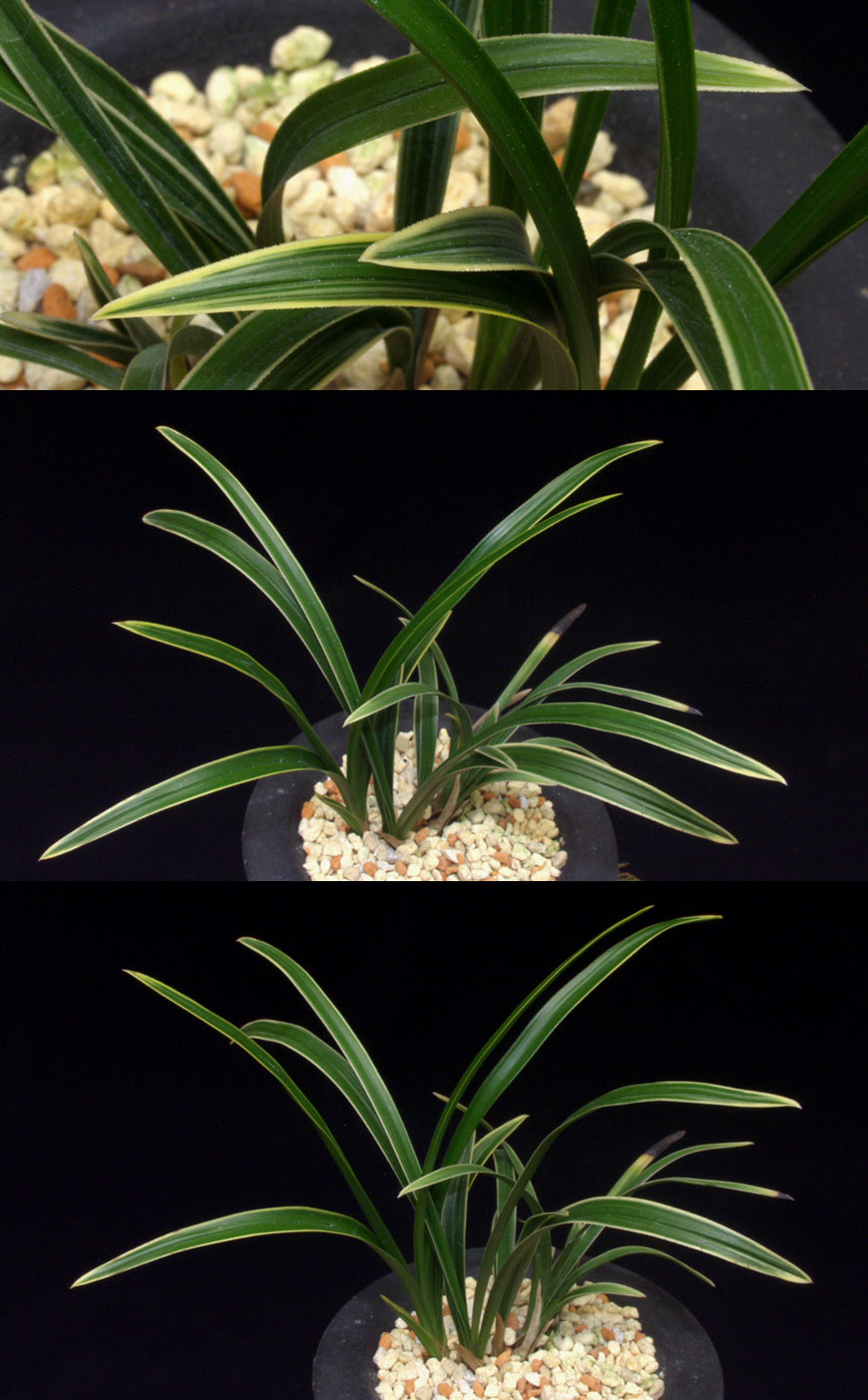 ������ ū������ �� �� �ֽ��ϴ�.