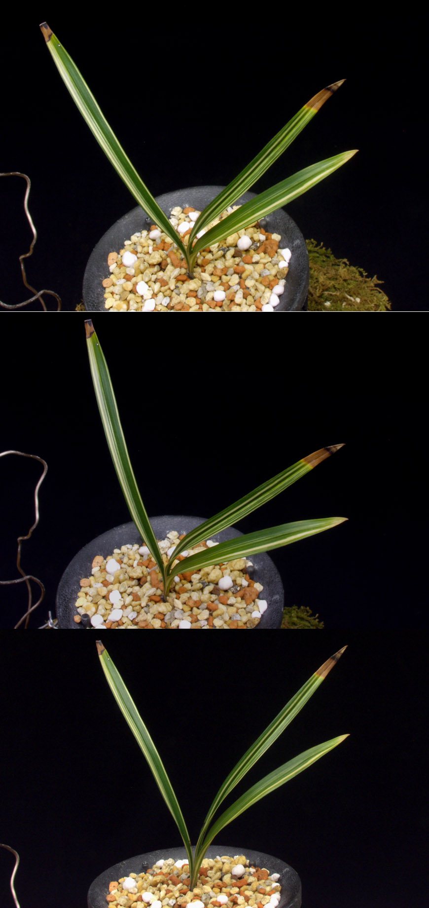 ������ ū������ �� �� �ֽ��ϴ�.