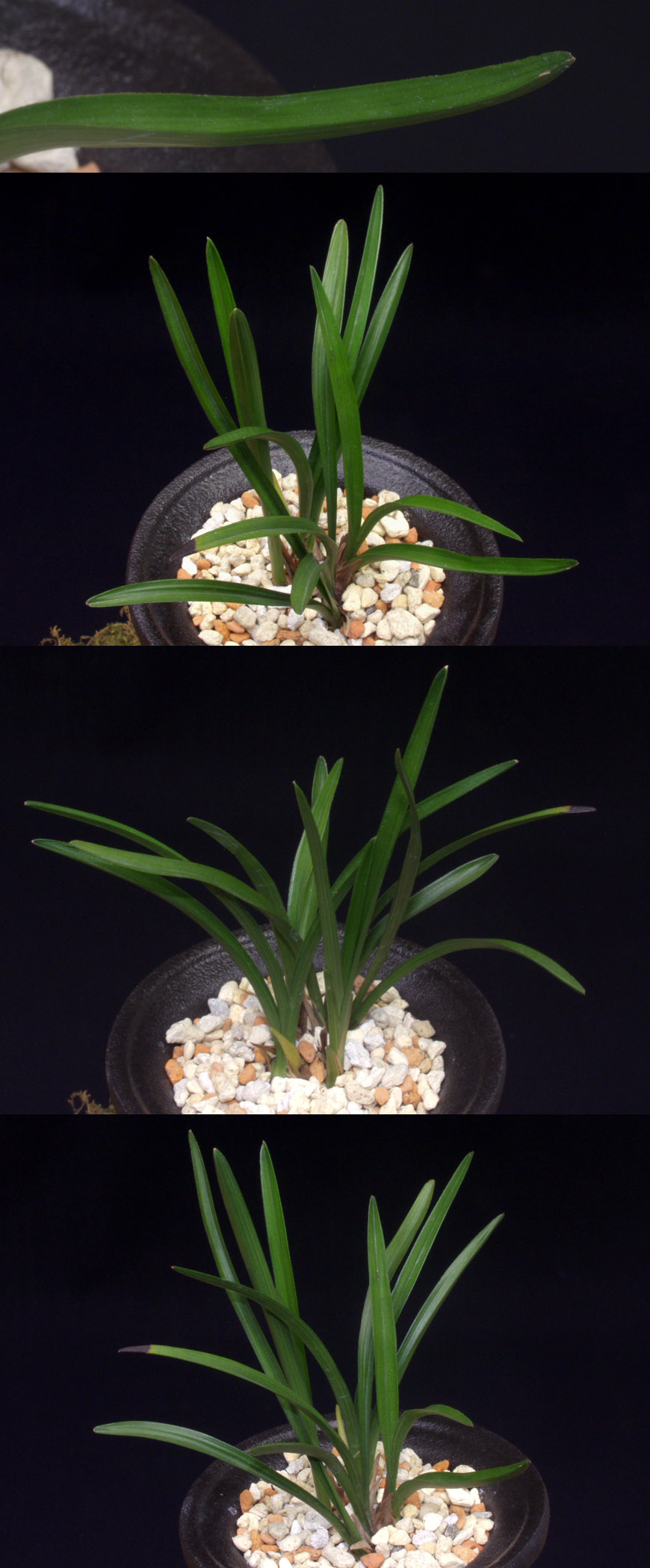 ������ ū������ �� �� �ֽ��ϴ�.