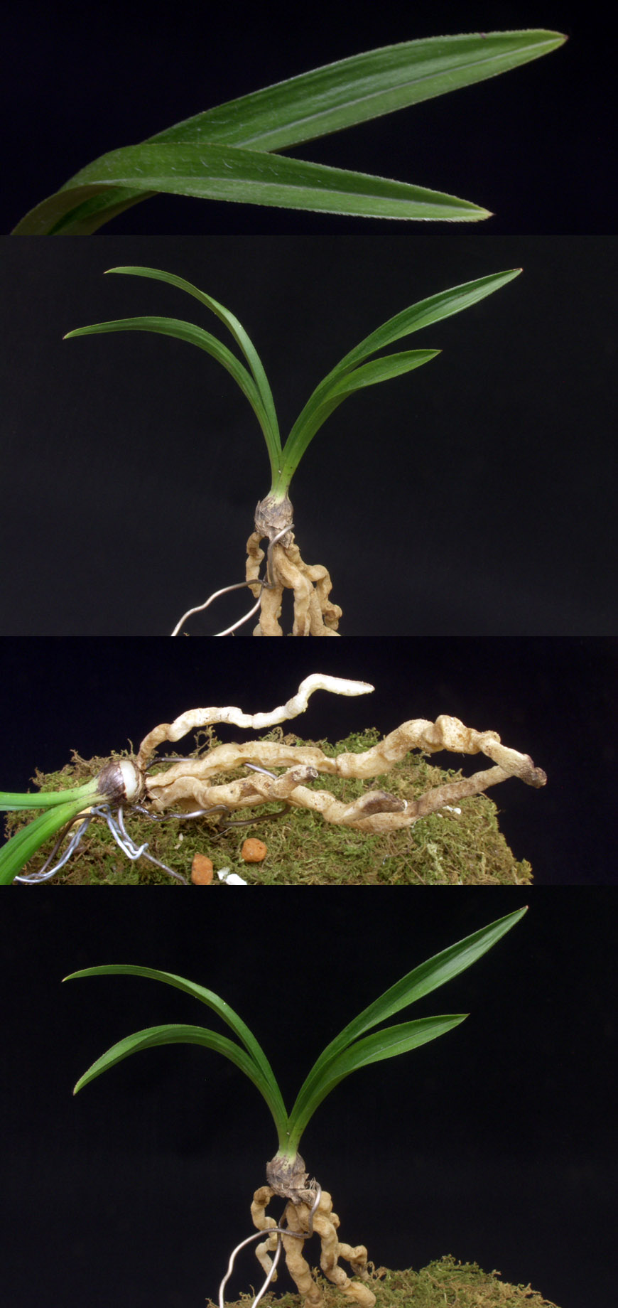 ������ ū������ �� �� �ֽ��ϴ�.