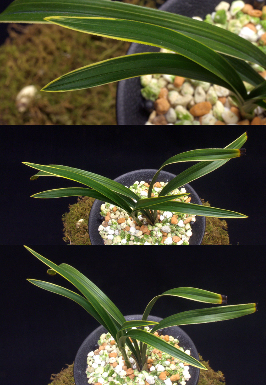 ������ ū������ �� �� �ֽ��ϴ�.