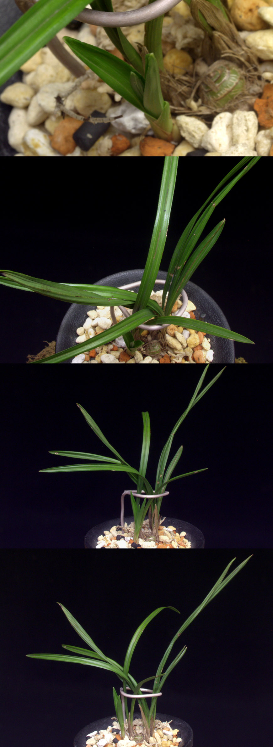 ������ ū������ �� �� �ֽ��ϴ�.