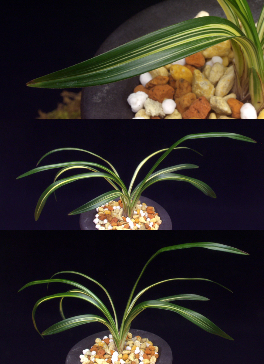 ������ ū������ �� �� �ֽ��ϴ�.