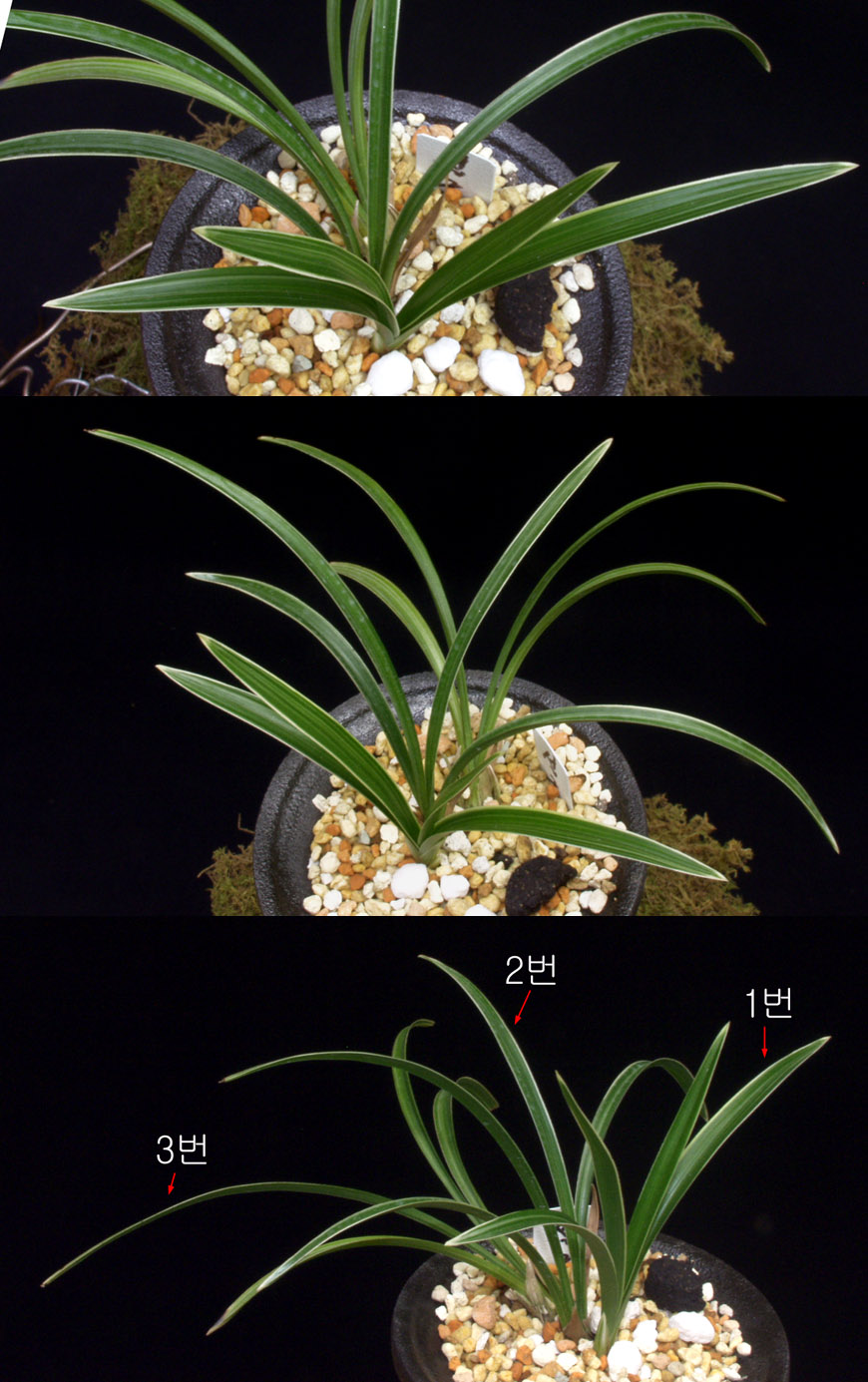 ������ ū������ �� �� �ֽ��ϴ�.