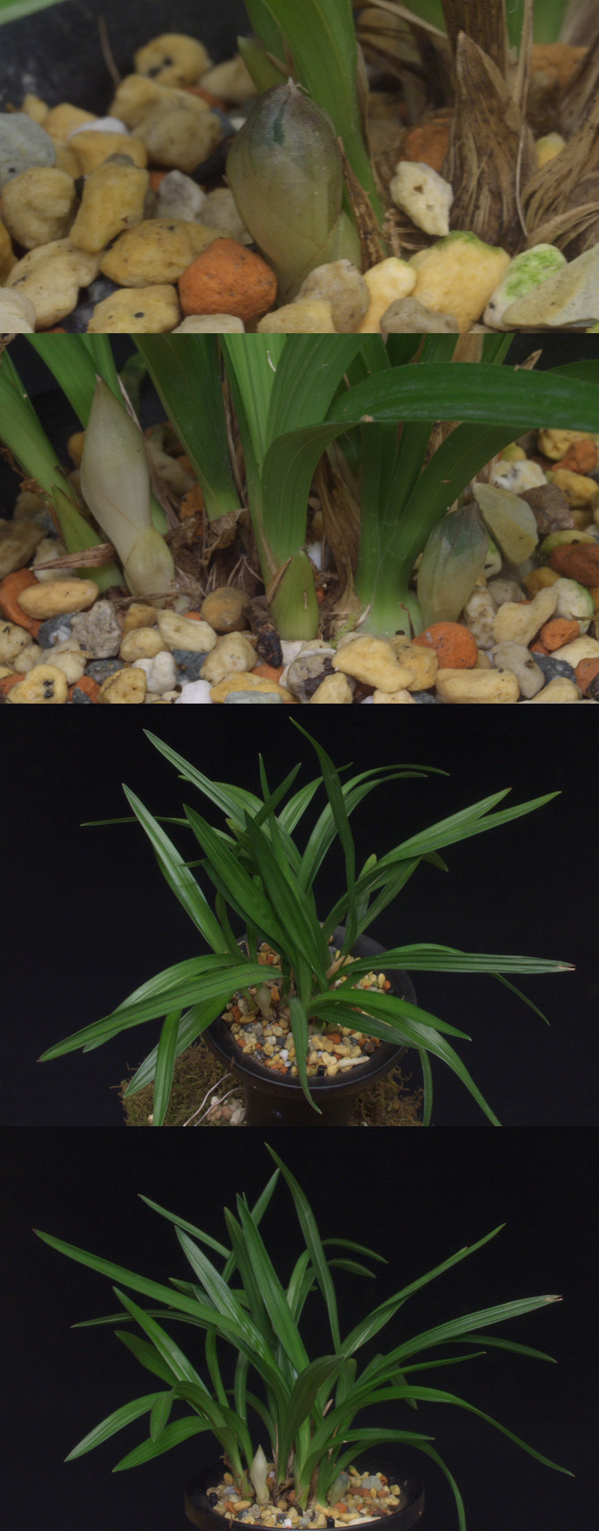 ������ ū������ �� �� �ֽ��ϴ�.