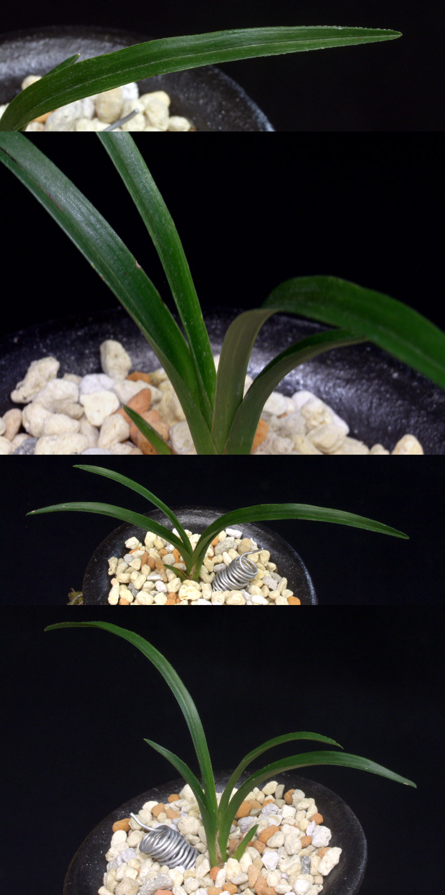 ������ ū������ �� �� �ֽ��ϴ�.