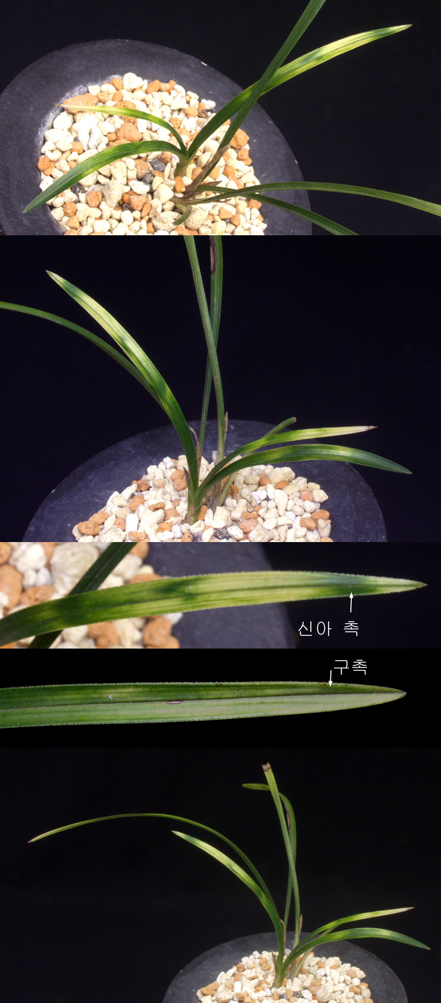 ������ ū������ �� �� �ֽ��ϴ�.